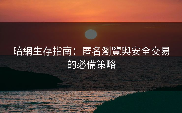 暗網生存指南:匿名瀏覽與安全交易的必備策略 第1张 暗網生存指南:匿名瀏覽與安全交易的必備策略 第1张