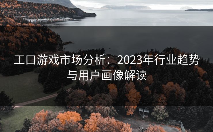 工口游戏市场分析:2023年行业趋势与用户画像解读 第1张 工口游戏市场分析:2023年行业趋势与用户画像解读 第1张