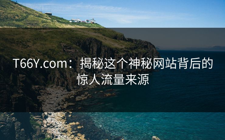 T66Y.com：揭秘这个神秘网站背后的惊人流量来源  第1张
