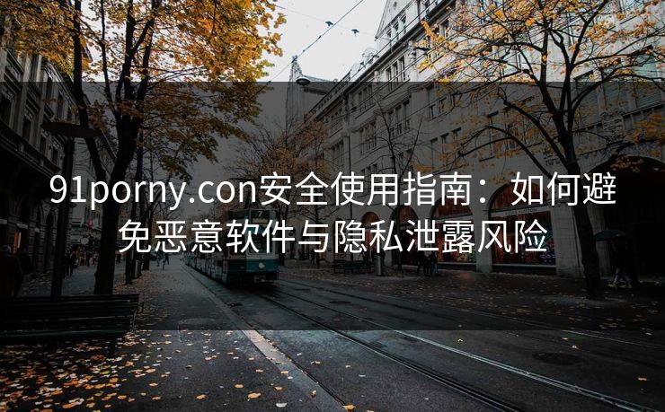 91porny.con安全使用指南：如何避免恶意软件与隐私泄露风险