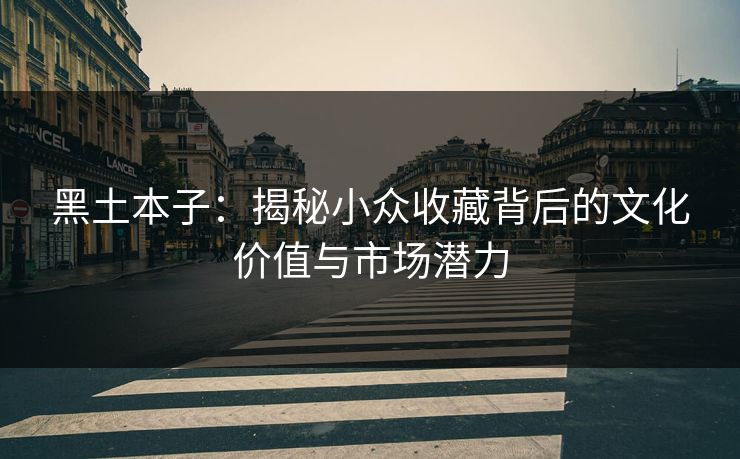 黑土本子:揭秘小众收藏背后的文化价值与市场潜力 第1张 黑土本子:揭秘小众收藏背后的文化价值与市场潜力 第1张