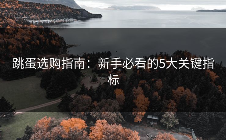 跳蛋选购指南：新手必看的5大关键指标  第1张