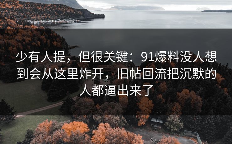 少有人提，但很关键：91爆料没人想到会从这里炸开，旧帖回流把沉默的人都逼出来了  第1张